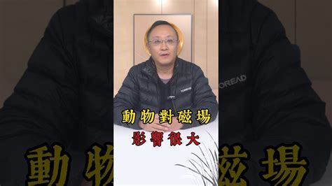 磁場對人的影響|磁石對人體神經傳導影響之探討